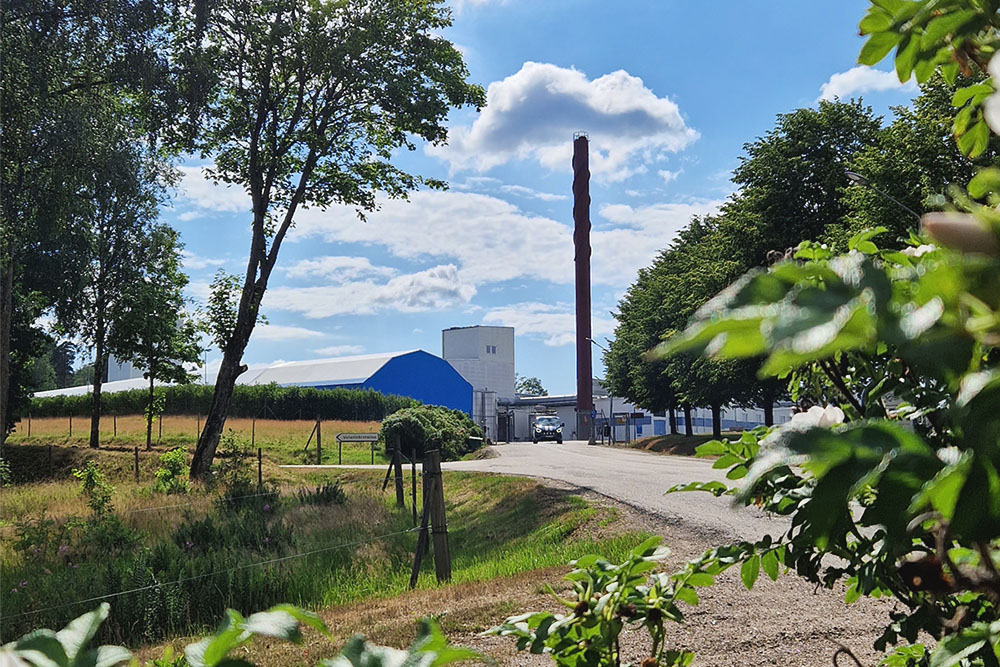 En fabrik med grönskande växter framför