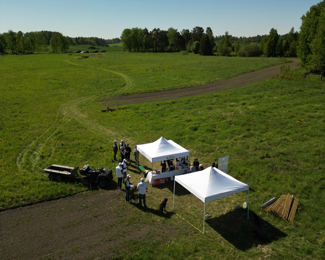 Trädplantering i Tanum
