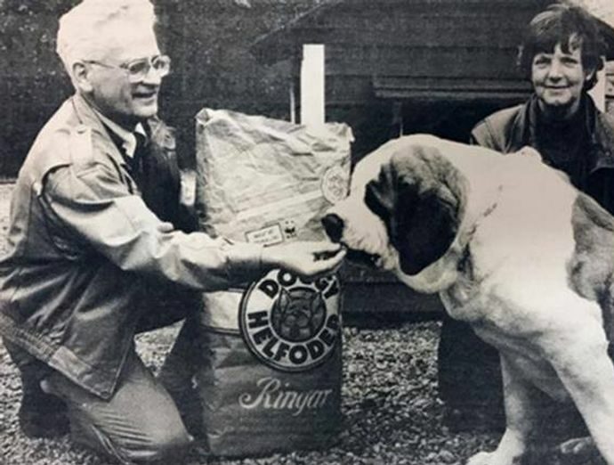 Man matar hund med doggy helfoder